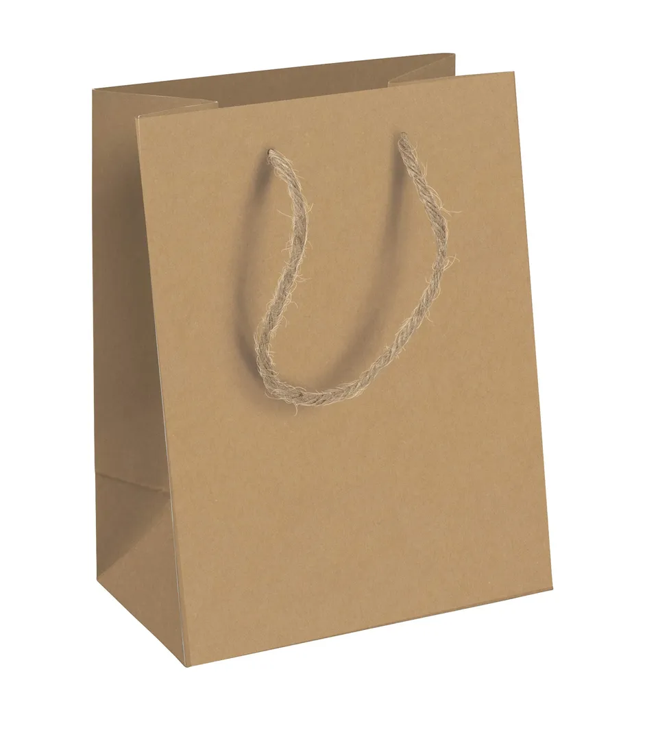 clairefontaine-tulip-28800-lot-6-sacs-cadeau-kraft-moyen image 1
