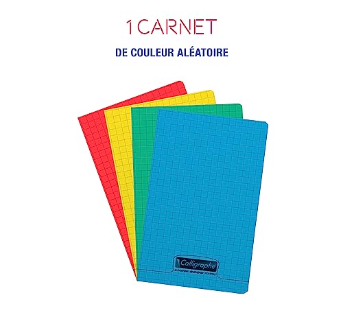 clairefontaine-calligraphe-18070c-carnet-11x17-petits-carreaux-90g image 6