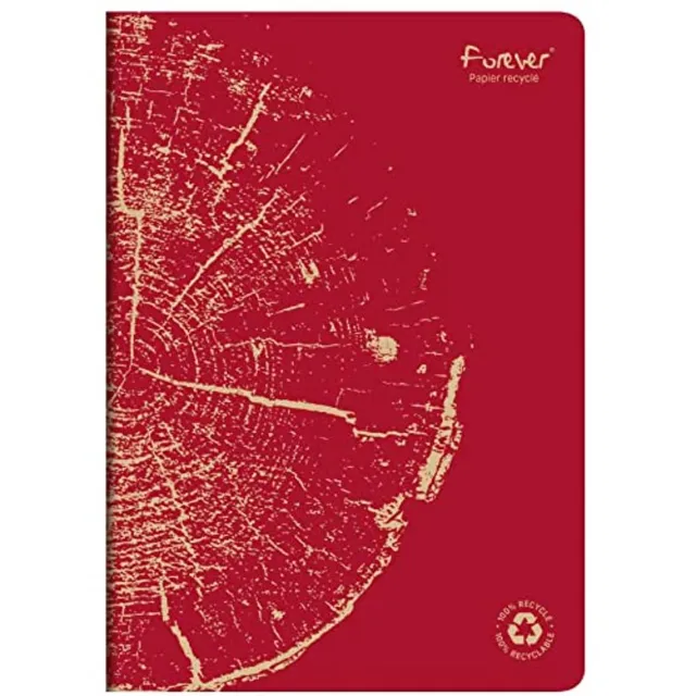 clairefontaine-forever-684663c-cahier-a4-96p-lign-rouge-brique image 1