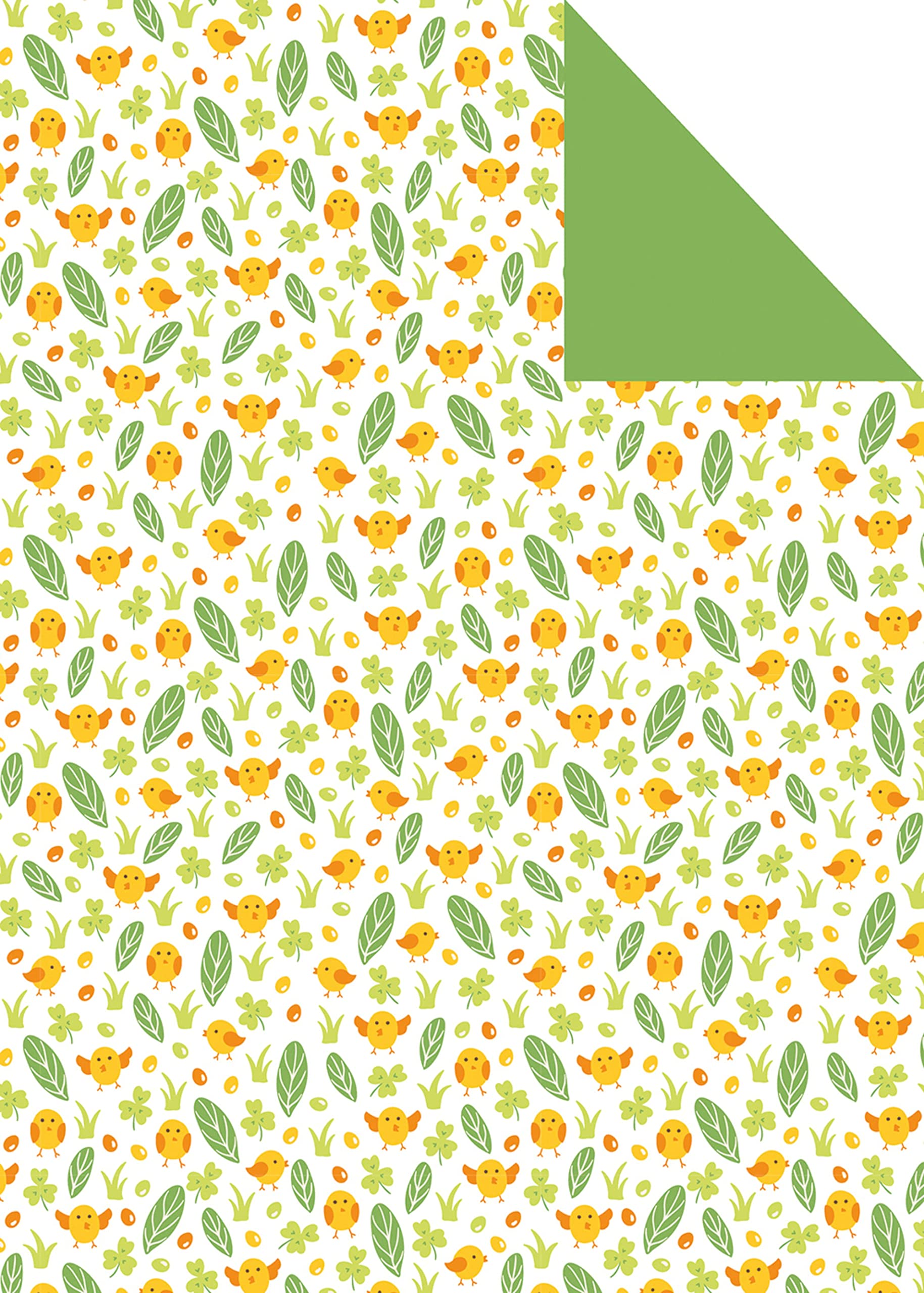 clairefontaine-354599c-carton-d-cor-25x35-printemps-40-feuilles image 3