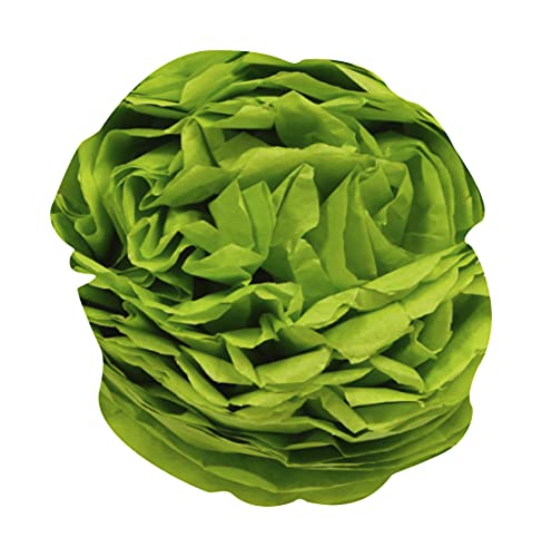 clairefontaine-tulip-papier-de-soie-vert-pomme-24-feuilles-50x75 image 8