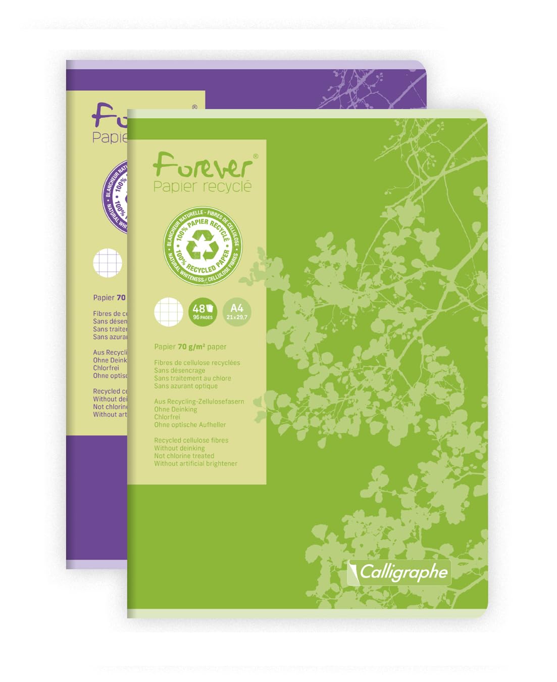 clairefontaine-calligraphe-17125c-cahier-a4-petits-carreaux-recycl image 1