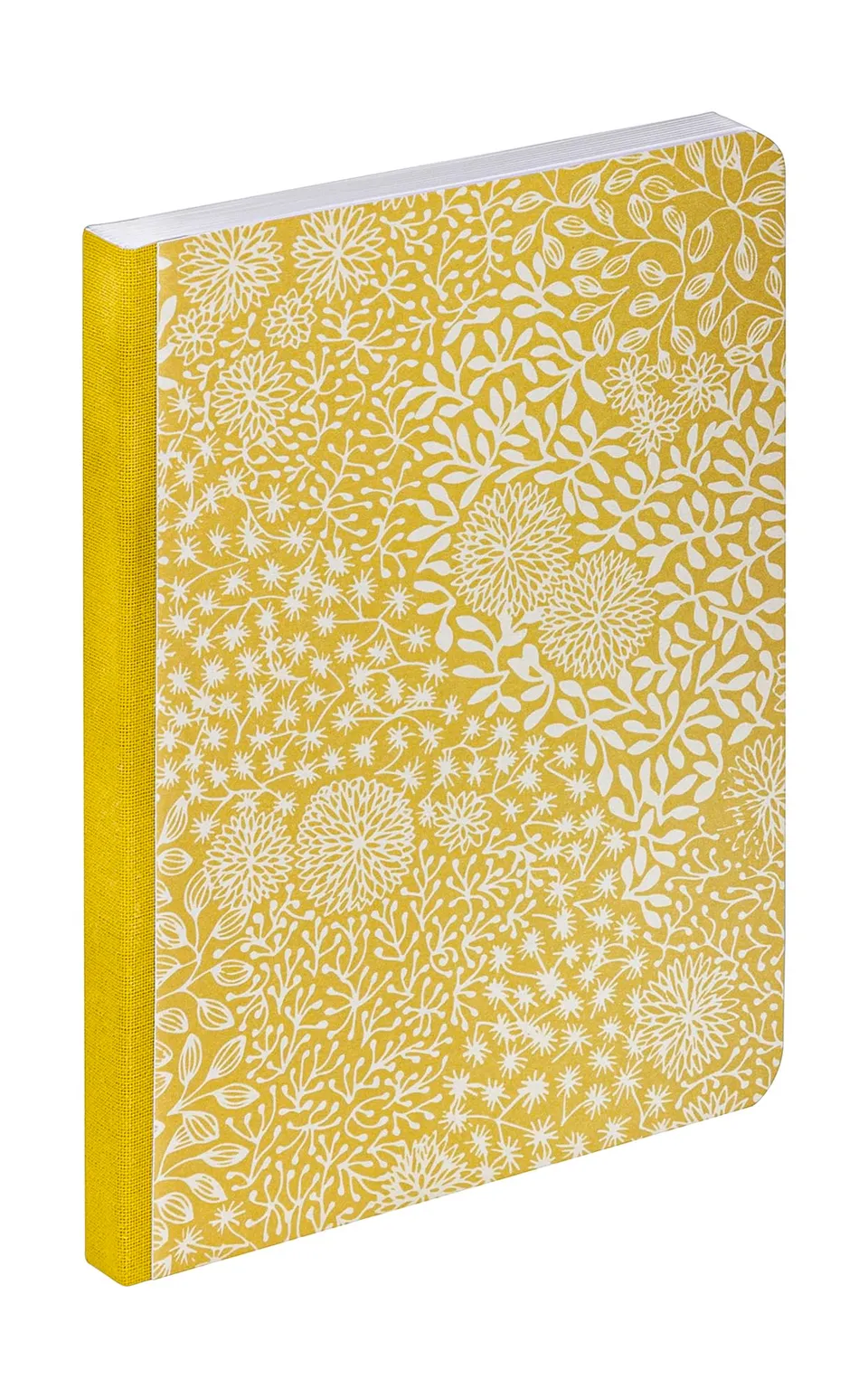 clairefontaine-back-to-basics-116343c-carnet-a6-lign-jardin-sens image 1