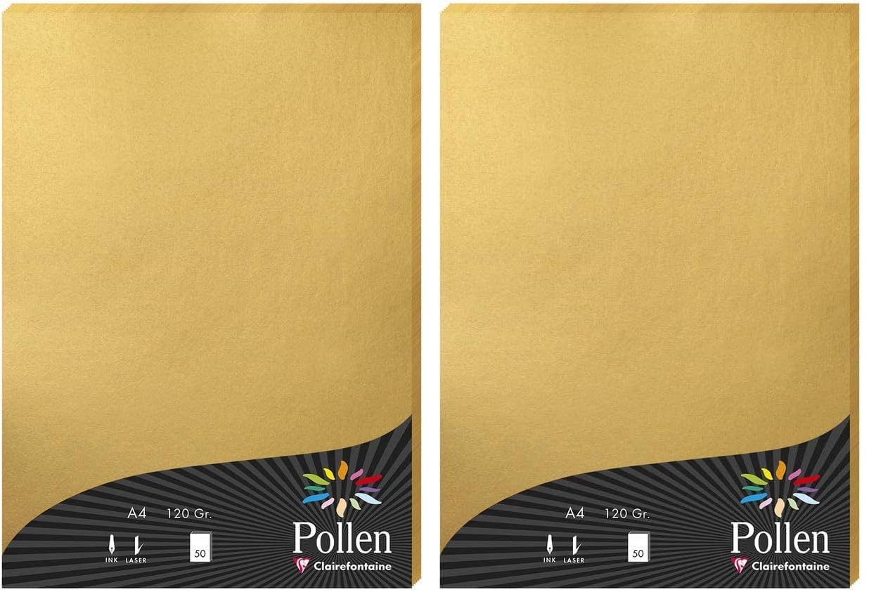 clairefontaine-pollen-papier-a4-or-50-feuilles-120g-nacr image 4