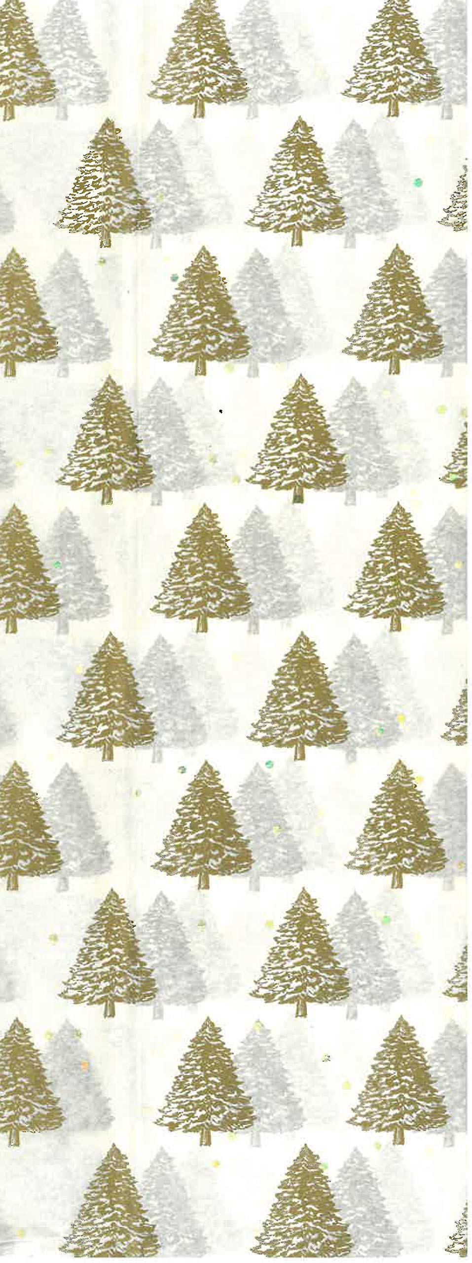 clairefontaine-papier-de-soie-no-l-50x75-cm-6-feuilles image 2