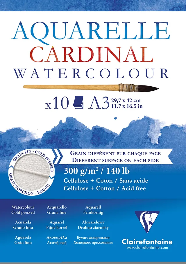 clairefontaine-painton-bloc-aquarelle-a3-10-feuilles-300g-double-grain image 1