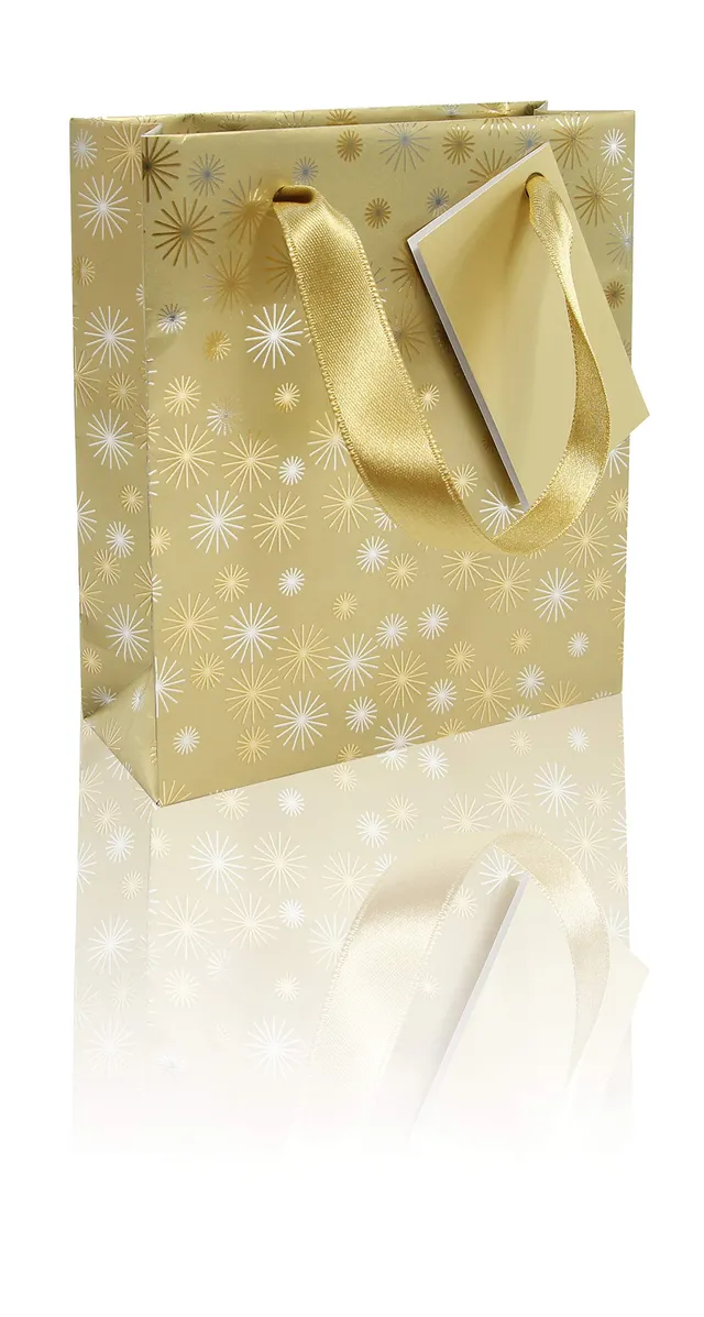 clairefontaine-tulip-211900c-sac-cadeau-pocket-toiles-or-dor image 1