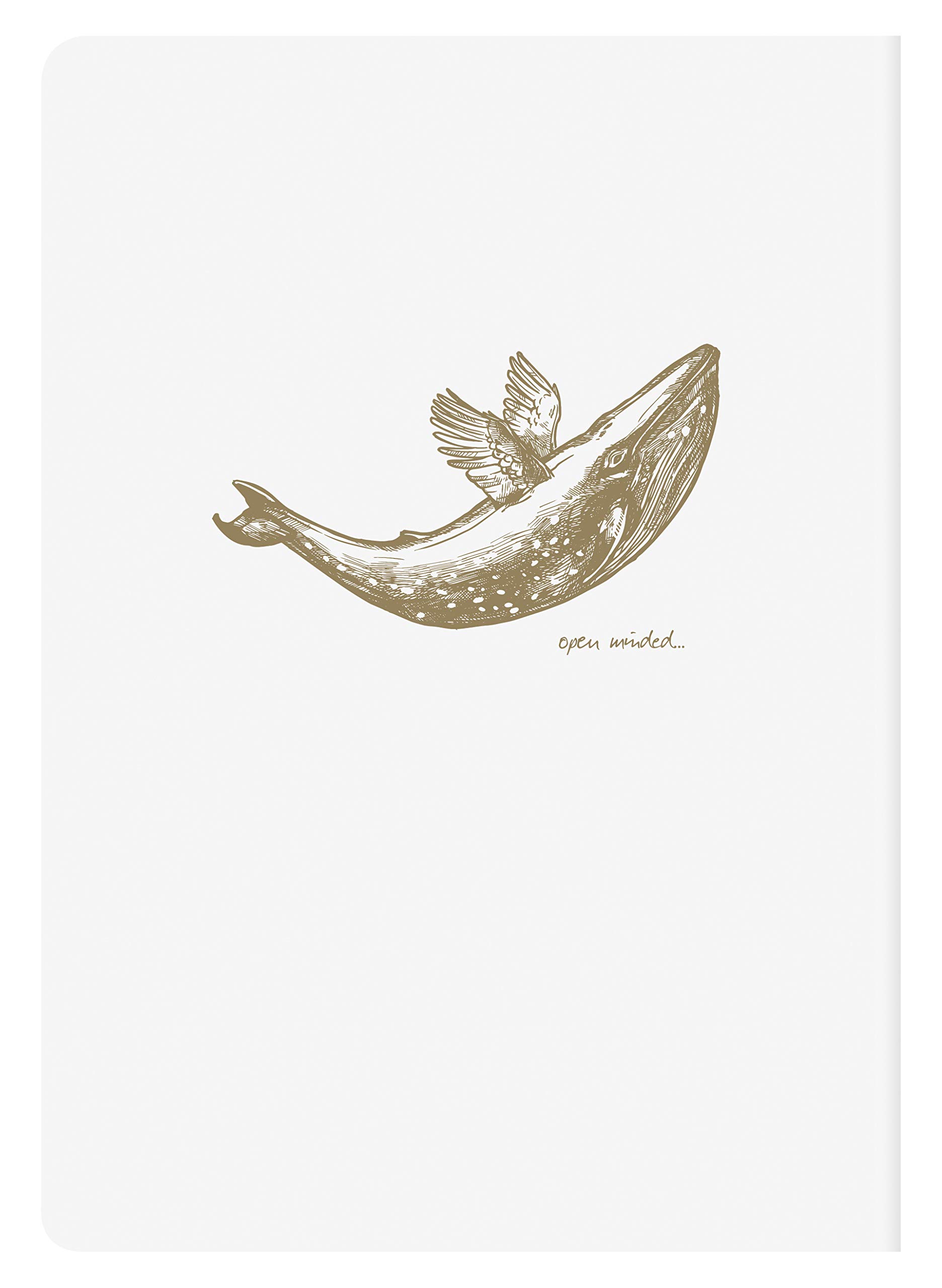 clairefontaine-flying-spirit-104536c-carnets-a5-lign-s-blanc-x5 image 4