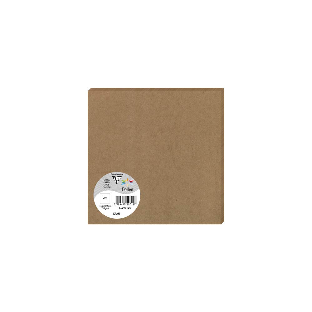 clairefontaine-pollen-25-cartes-16x16cm-200g-kraft-marron image 1