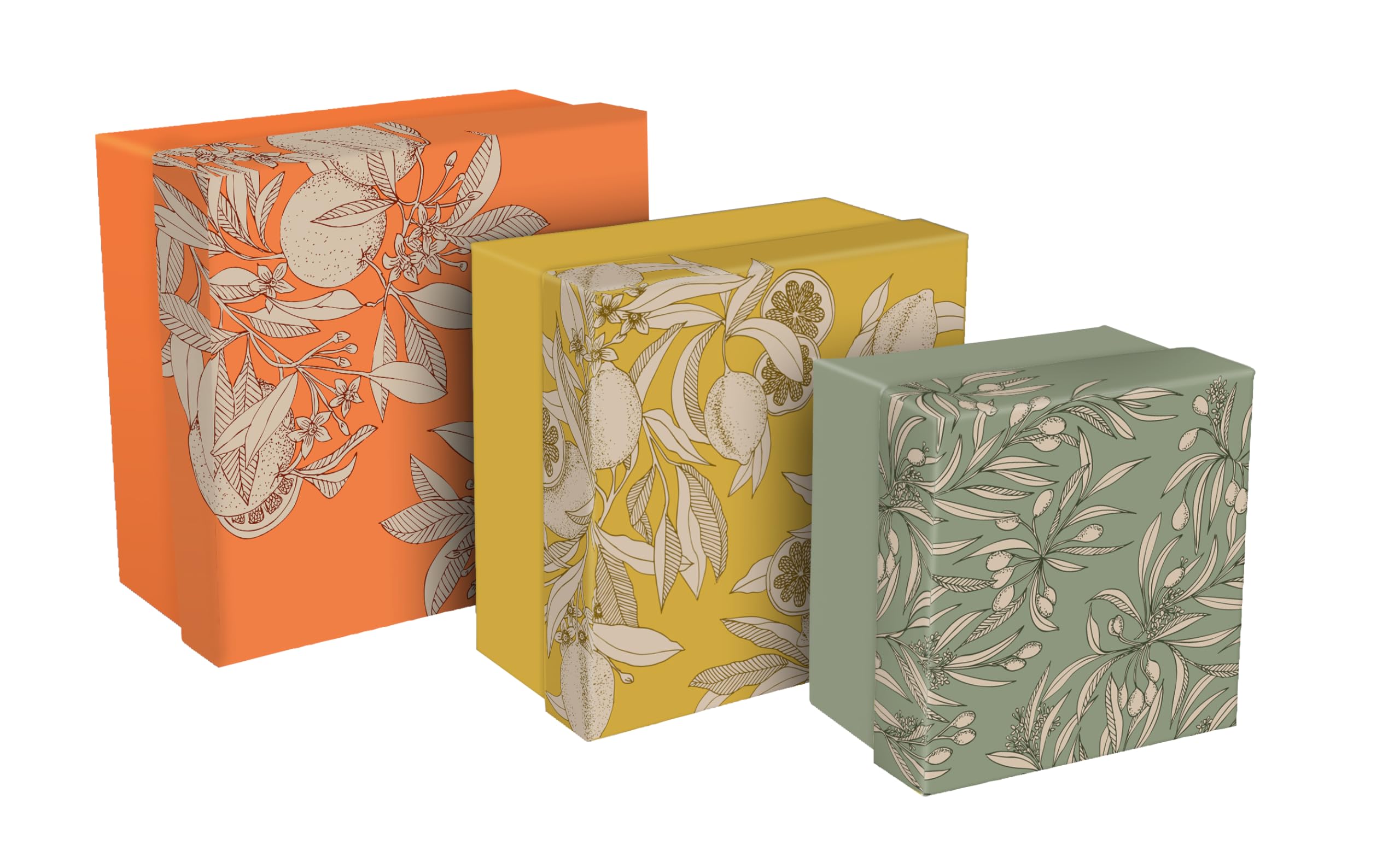 clairefontaine-jardin-des-sens-lot-3-bo-tes-gigognes-fleurs-carton image 1