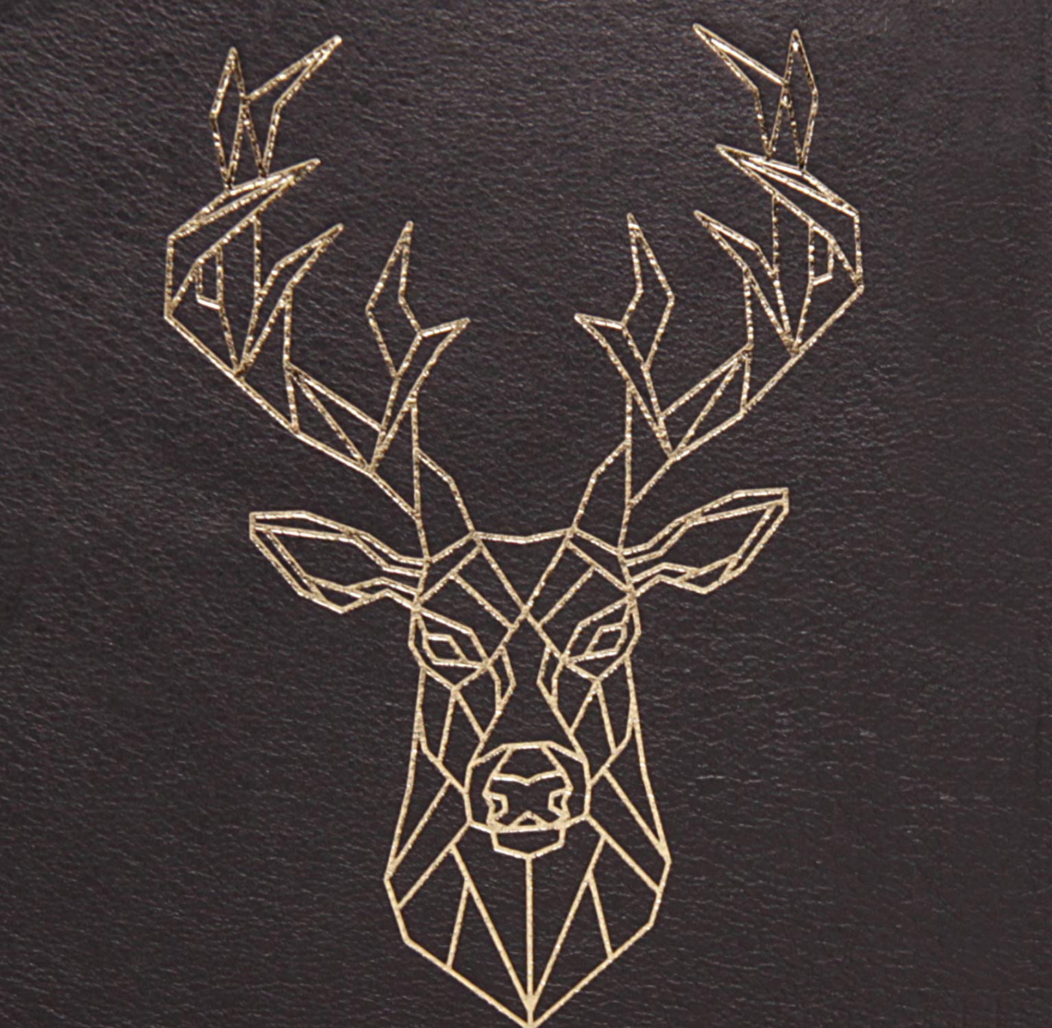 clairefontaine-age-bag-400128c-carnet-cuir-a5-cerf-lign-144-pages image 4