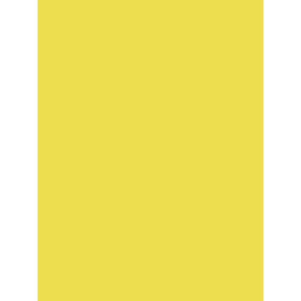 clairefontaine-1951-affiches-peintes-jaune-citron-60x80cm-25-feuilles image 1