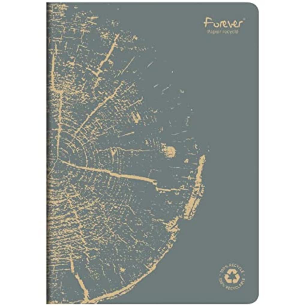 clairefontaine-forever-684663c-cahier-a4-96p-lign-rouge-brique image 8