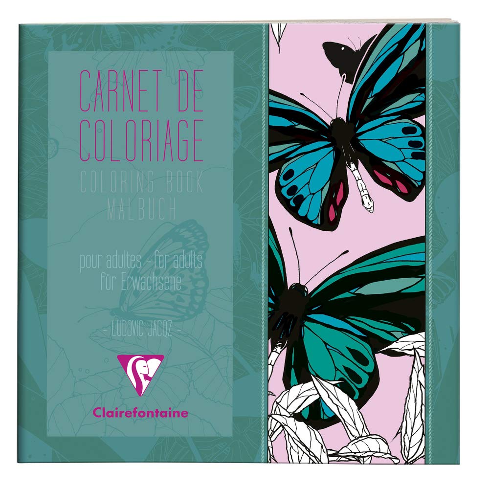 clairefontaine-carnet-coloriage-villes-adulte-a4-24-pages image 6