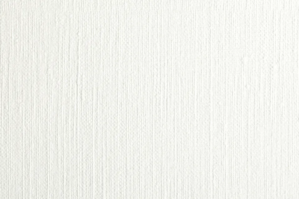clairefontaine-painton-975833c-rouleau-huile-blanc-240g-1-10x10-m image 1
