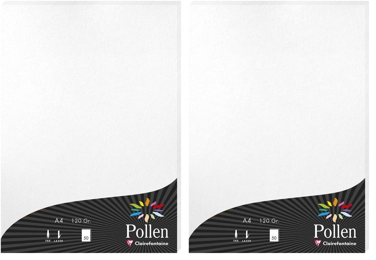 clairefontaine-pollen-feuilles-a4-210g-argent-paquet-de-25 image 8