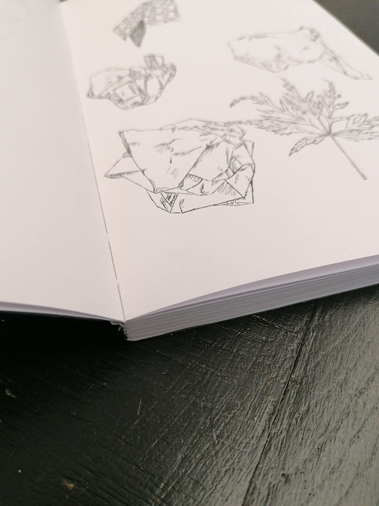 Pages lignées