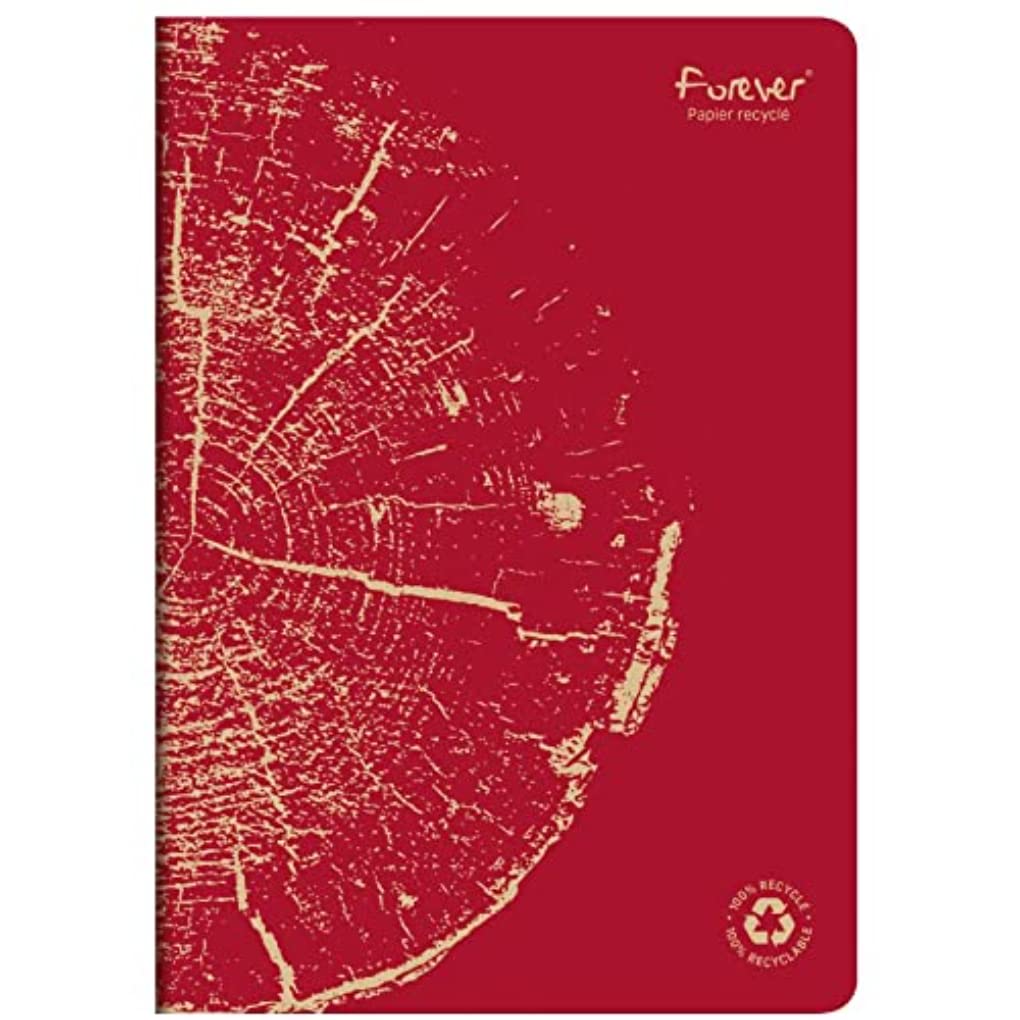 clairefontaine-forever-684663c-cahier-a4-96p-lign-rouge-brique image 1