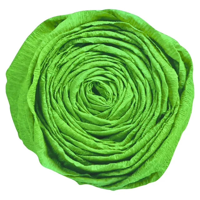 clairefontaine-back-to-basics-papier-cr-pon-vert-empire-250x50-x10 image 1
