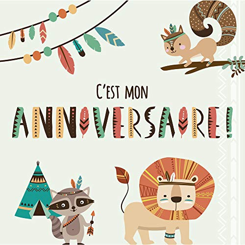 clairefontaine-pollen-set-8-cartes-anniversaire-gar-on-indiens-enveloppes image 6