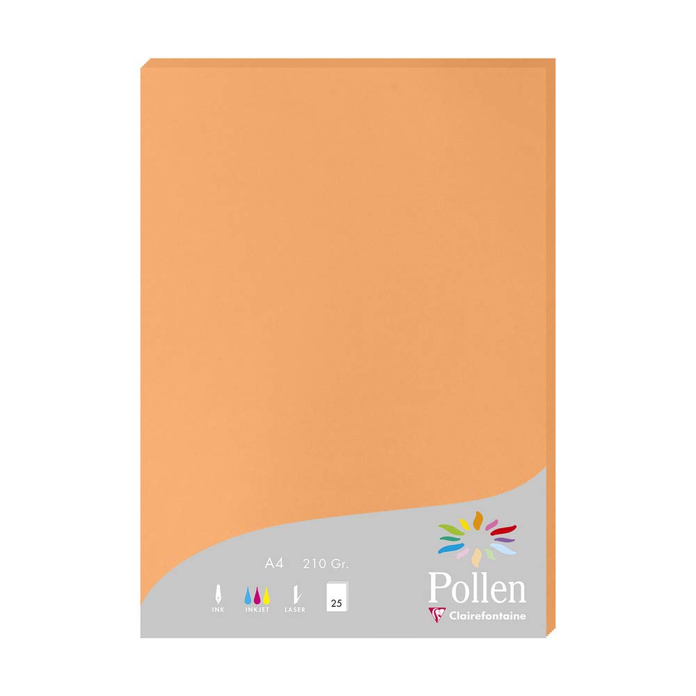 clairefontaine-pollen-feuilles-a4-210g-argent-paquet-de-25 image 4