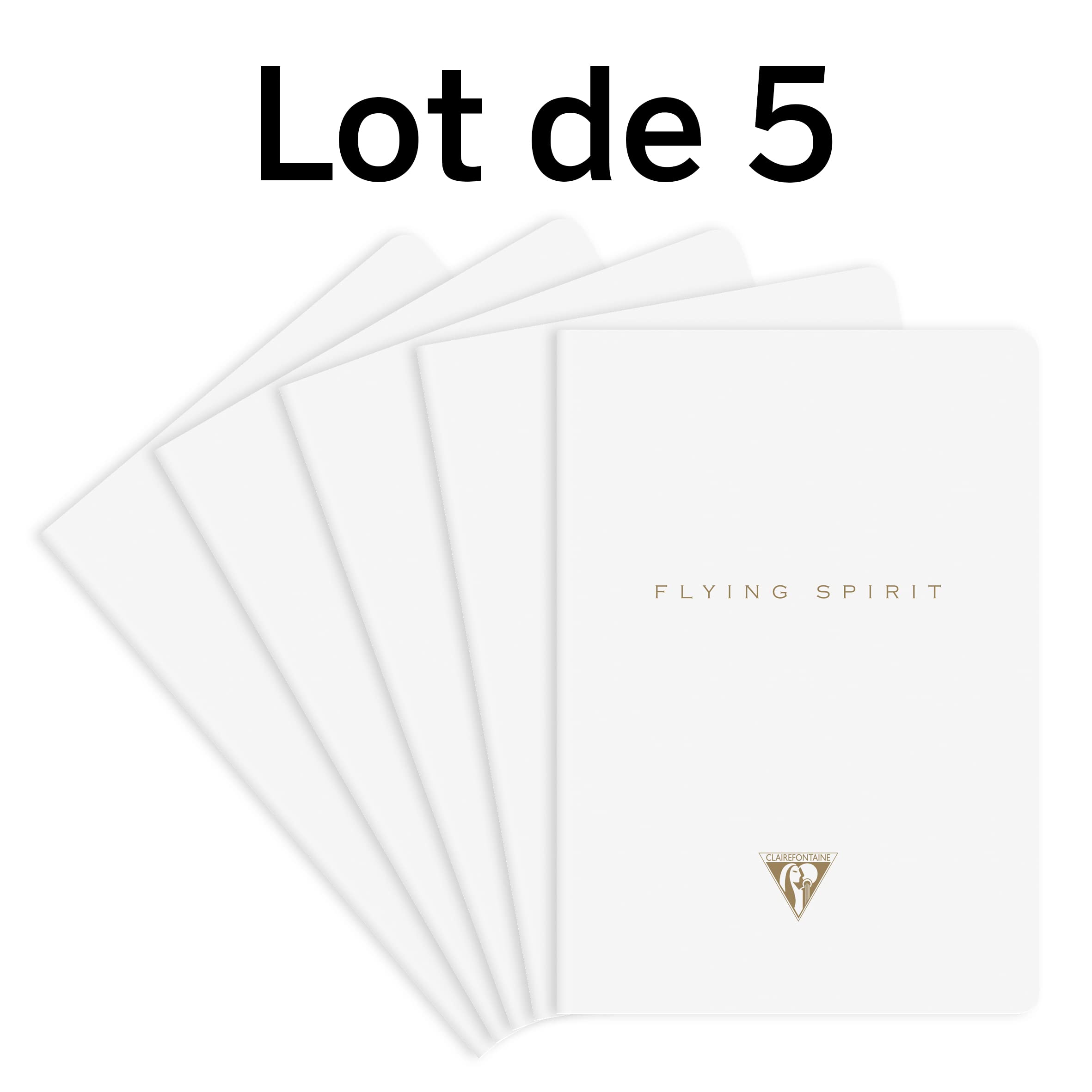 clairefontaine-flying-spirit-104536c-carnets-a5-lign-s-blanc-x5 image 2