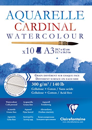 clairefontaine-painton-bloc-aquarelle-a3-10-feuilles-300g-double-grain image 6