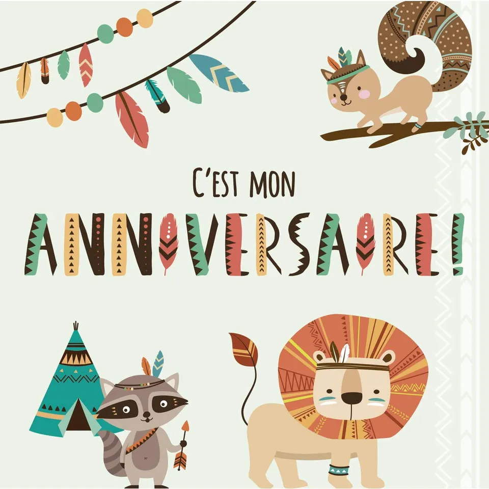 clairefontaine-pollen-set-8-cartes-anniversaire-gar-on-indiens-enveloppes image 1