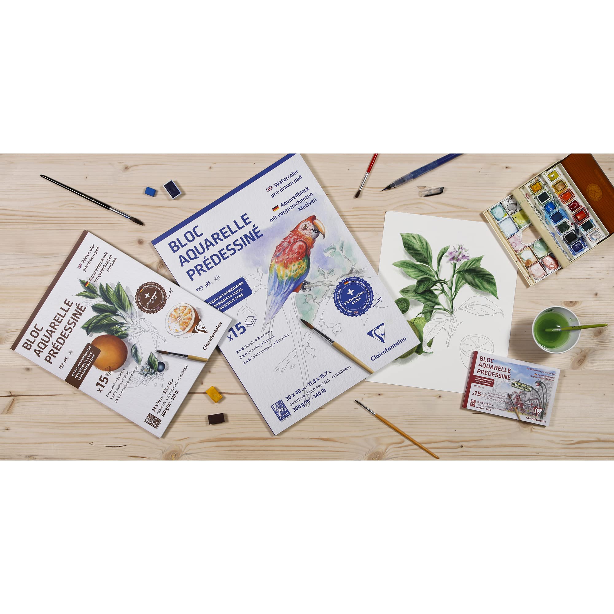 clairefontaine-painton-bloc-aquarelle-animaux-30x40-cm-15-feuilles-300g image 4