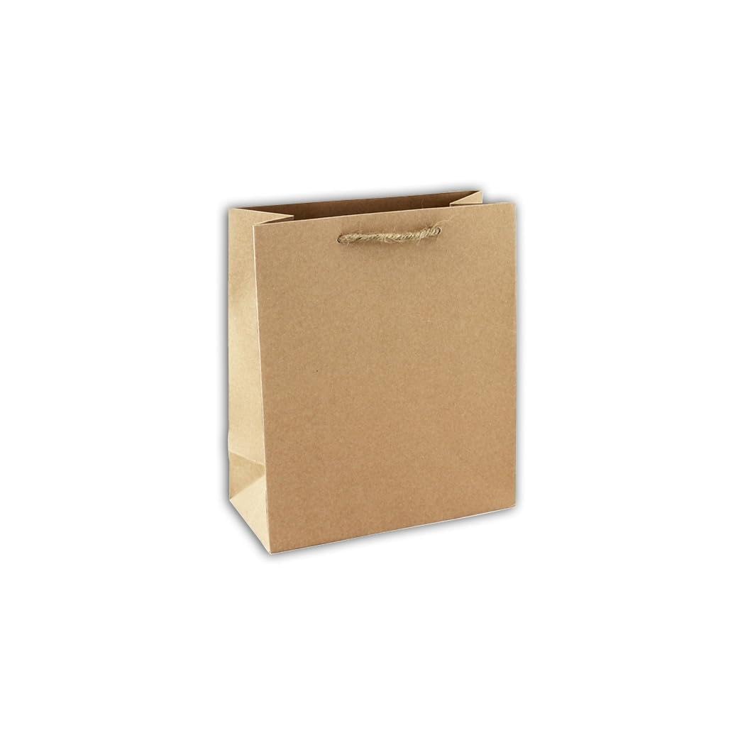 clairefontaine-tulip-28800-lot-6-sacs-cadeau-kraft-moyen image 5