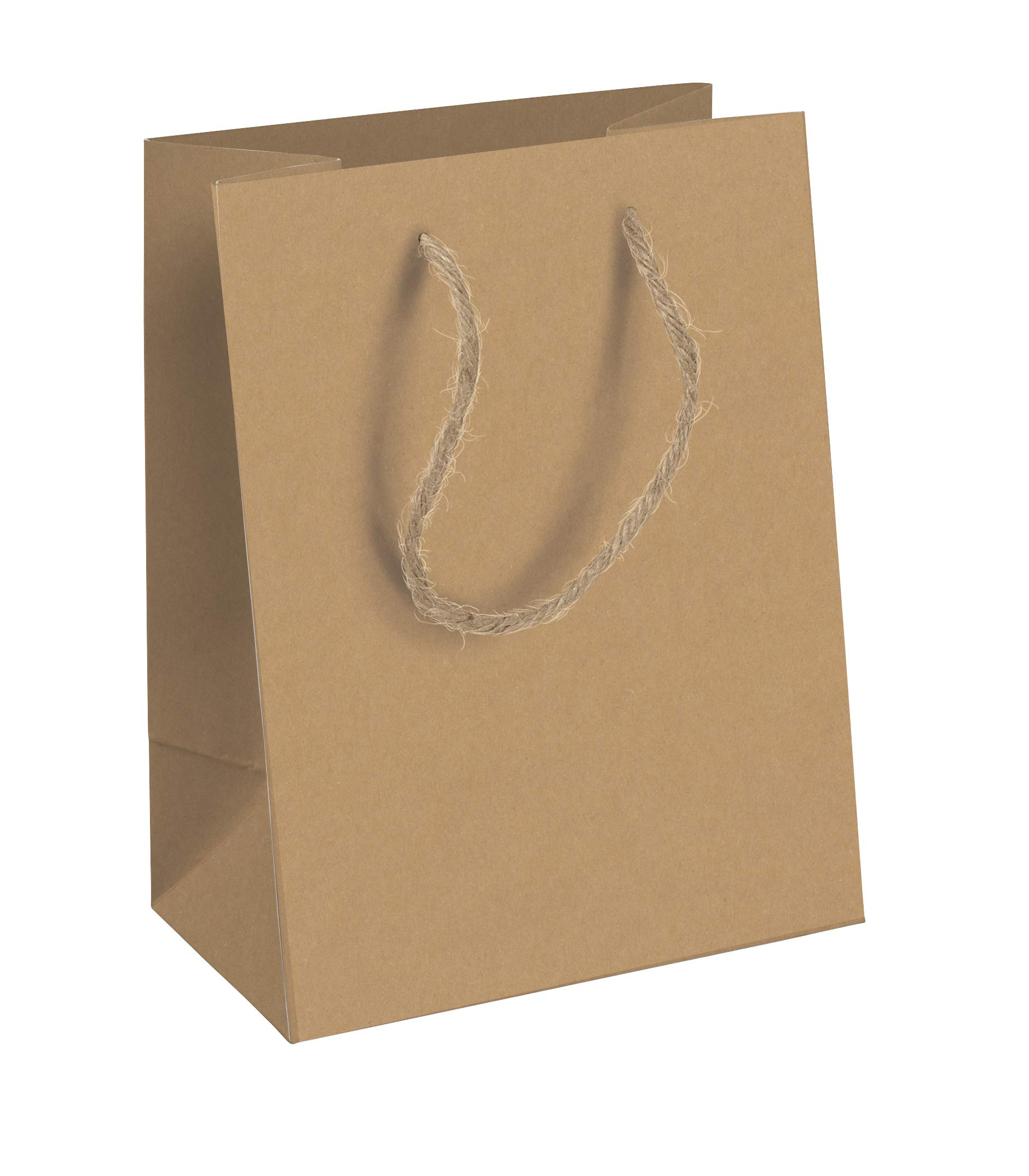 clairefontaine-tulip-28800-lot-6-sacs-cadeau-kraft-moyen image 1