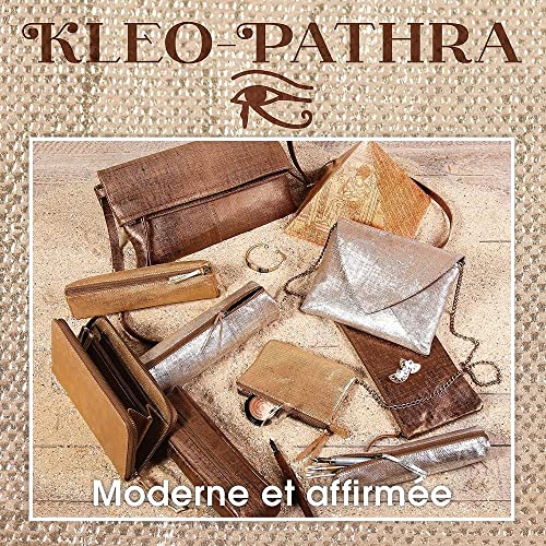 clairefontaine-age-bag-410044c-trousse-cuir-argent-22-cm image 6