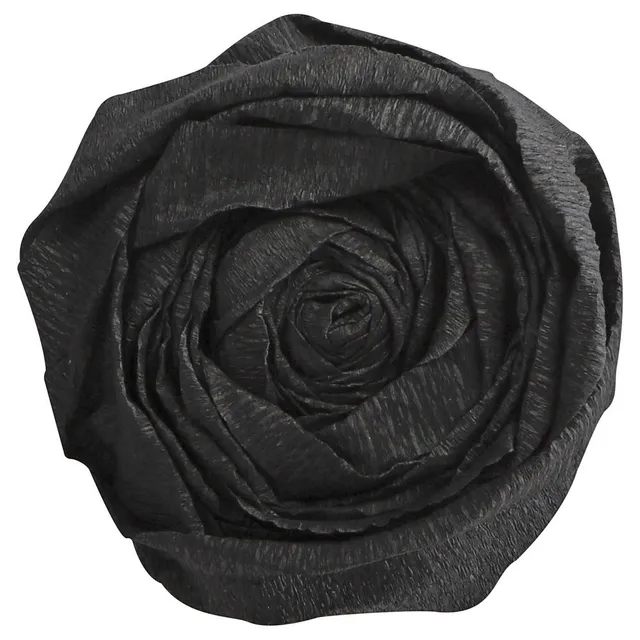 clairefontaine-tulip-papier-cr-pon-noir-10-feuilles-m40 image 1