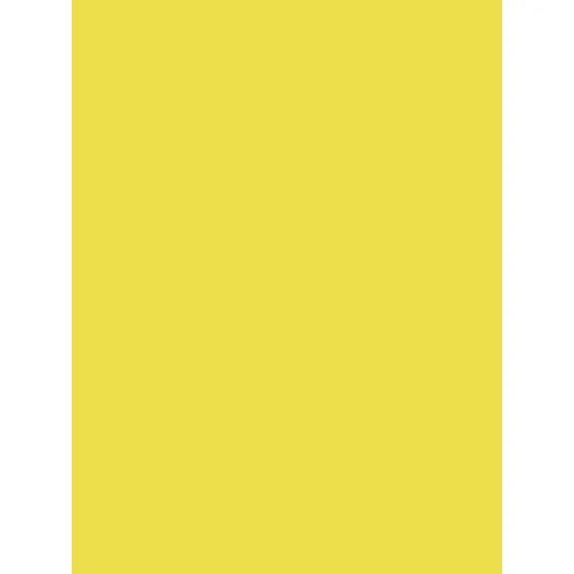 clairefontaine-1951-affiches-peintes-jaune-citron-60x80cm-25-feuilles image 1