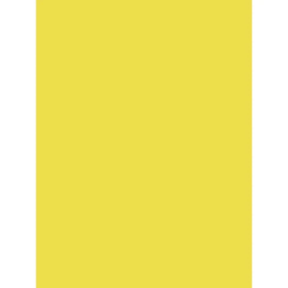 clairefontaine-1951-affiches-peintes-jaune-citron-60x80cm-25-feuilles image 1
