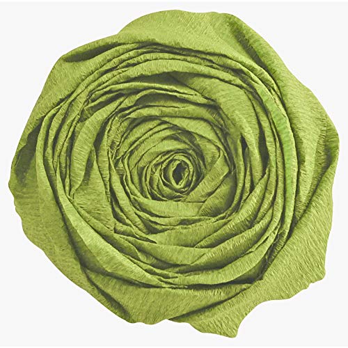 clairefontaine-tulip-903055c-papier-cr-pon-vert-mousse-lot-10 image 6