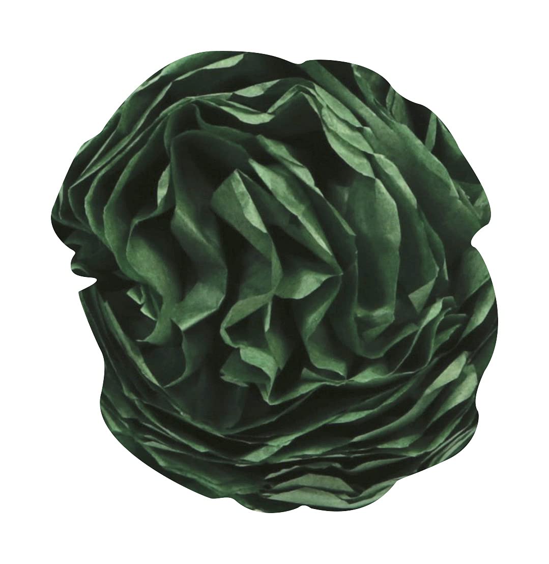 clairefontaine-tulip-394074c-papier-de-soie-vert-bouteille-24-feuilles image 4