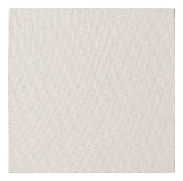 clairefontaine-painton-carton-toil-blanc-20x20-cm-3mm image 1