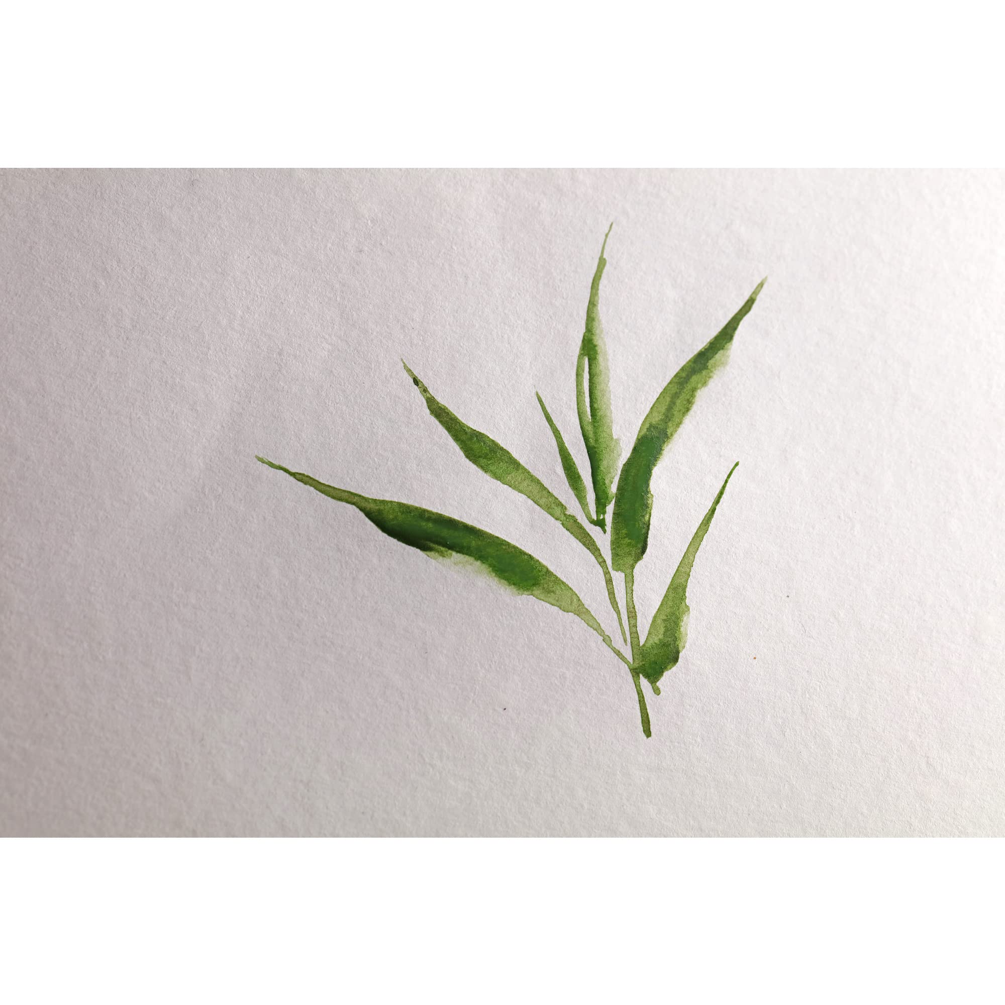 clairefontaine-painton-975919c-bloc-aquarelle-a4-bambou-250g image 4