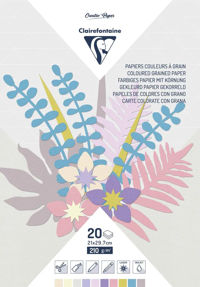 clairefontaine-painton-bloc-20-feuilles-pastel-a4-210g image 1