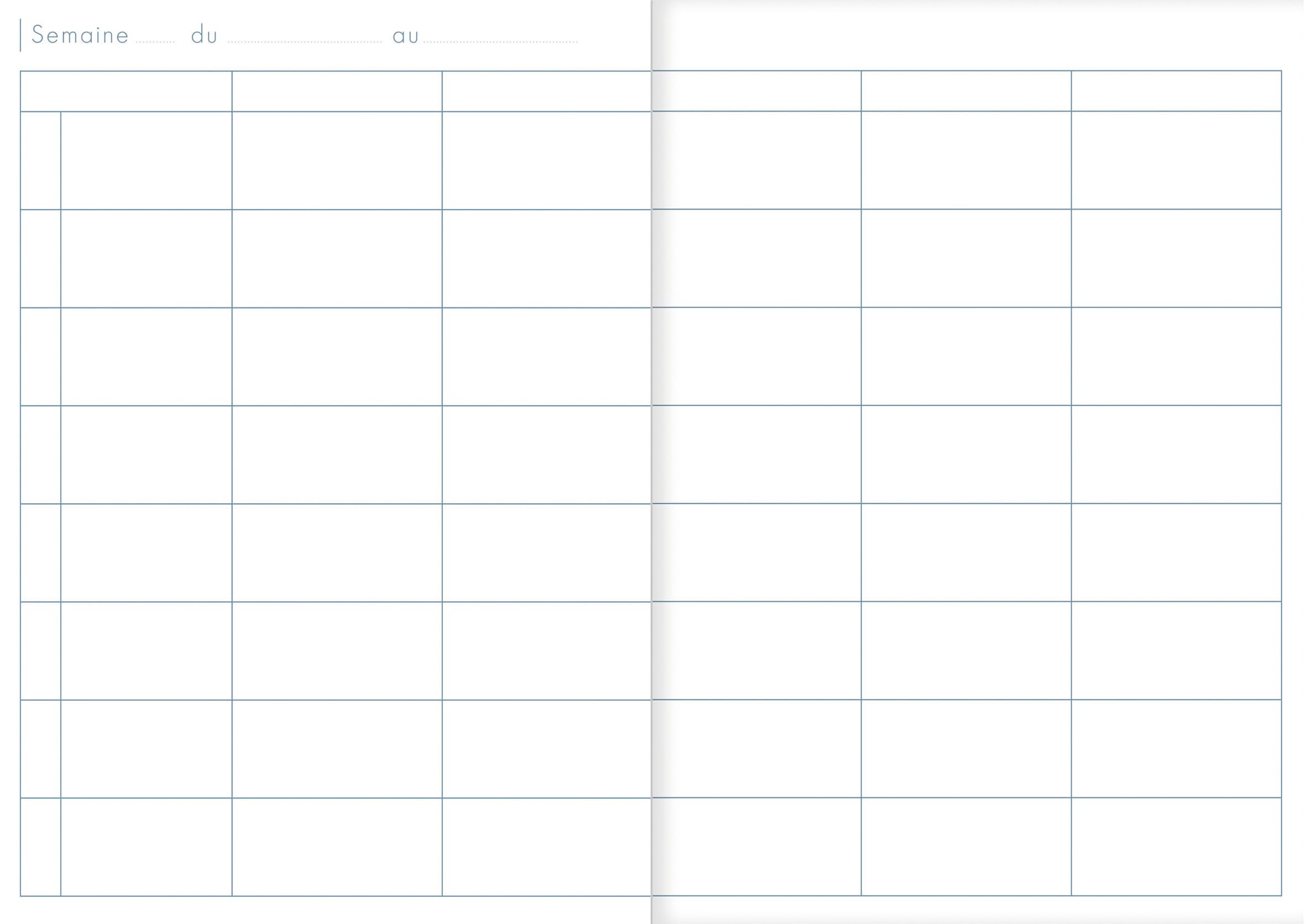 clairefontaine-9069c-agenda-de-bord-6-colonnes-a4-48-cases image 3