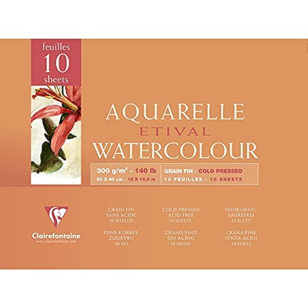 clairefontaine-painton-etival-96474c-bloc-42x56-300g image 7