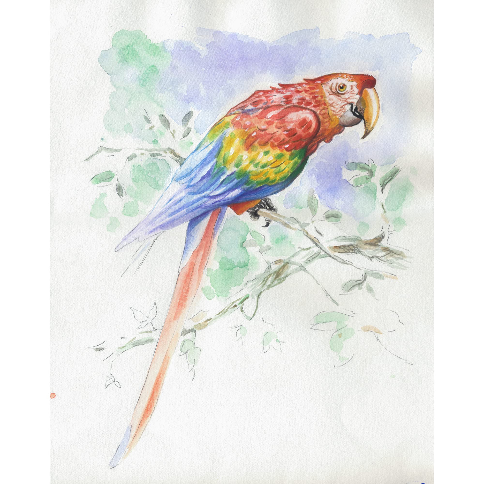 clairefontaine-painton-bloc-aquarelle-animaux-30x40-cm-15-feuilles-300g image 3