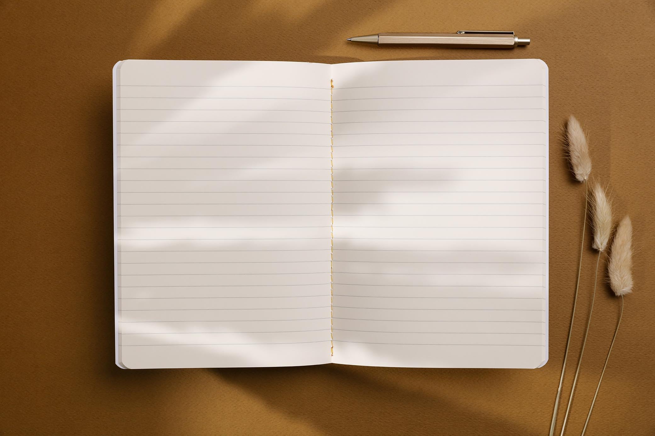 clairefontaine-terracotta-carnet-cousu-a5-lign-64-pages-90g image 5