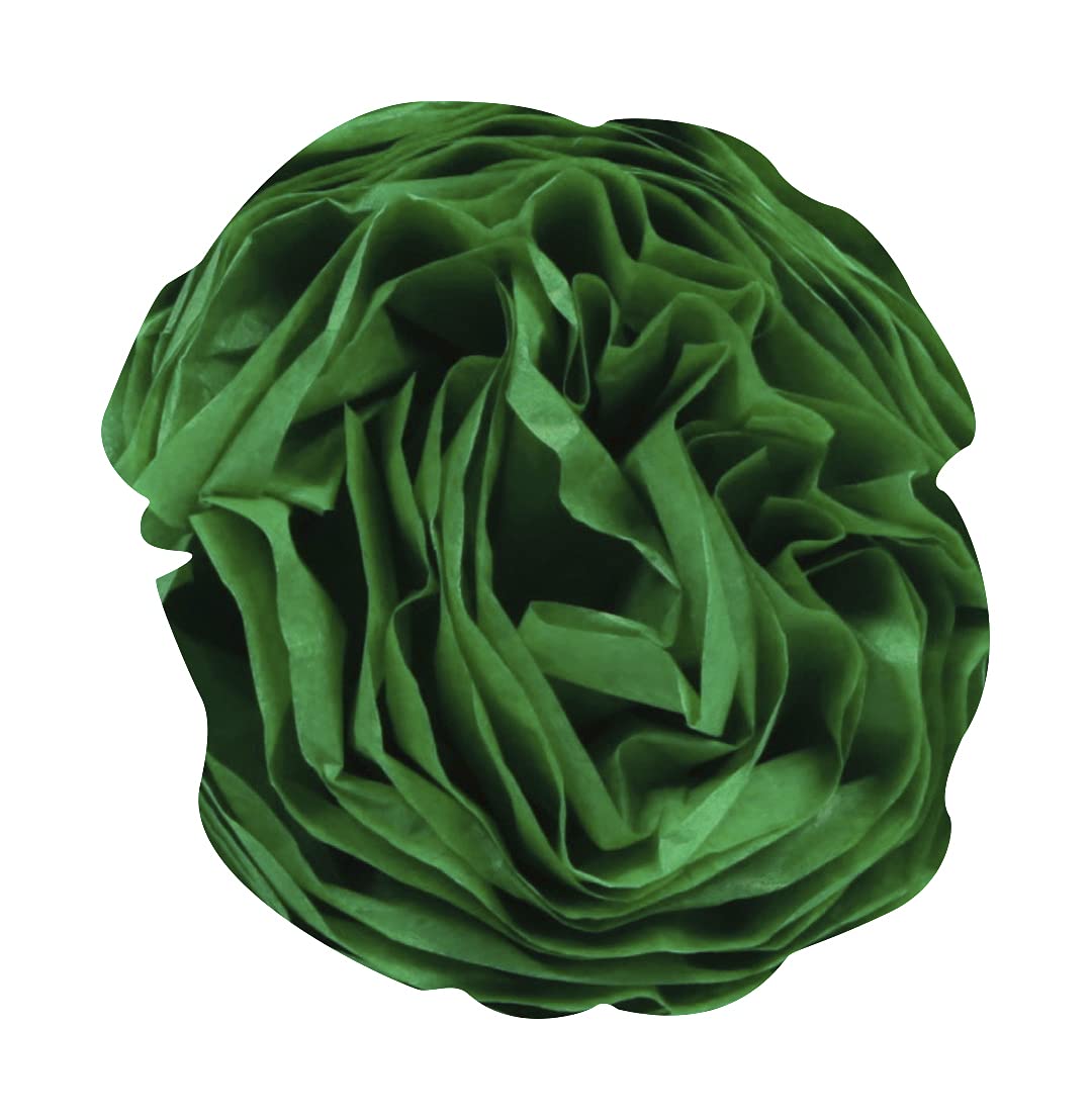 clairefontaine-tulip-paper-soie-vert-pr-50x75-24-feuilles image 4