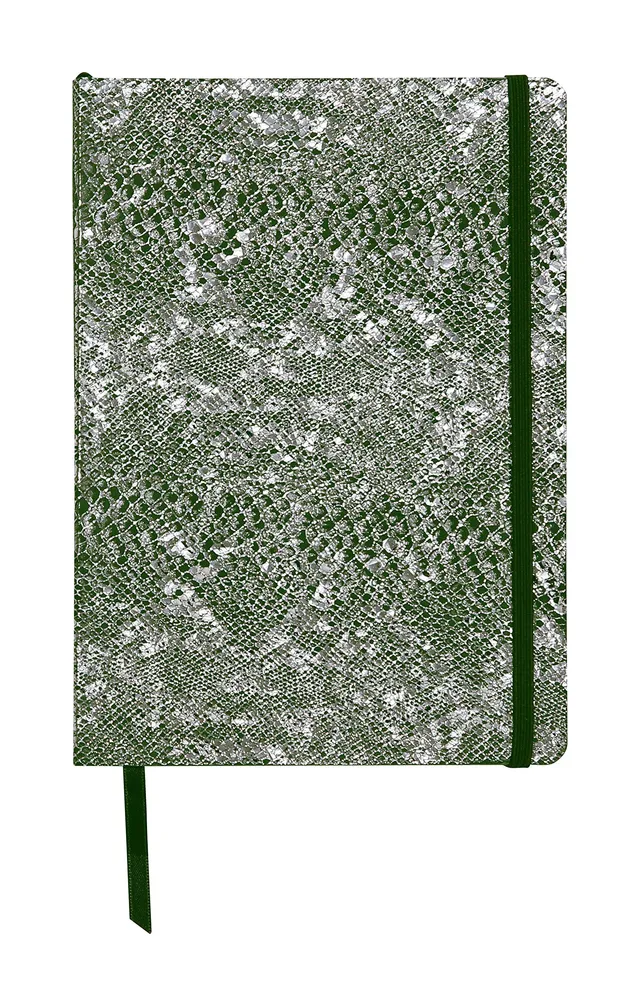 clairefontaine-age-bag-400122c-carnet-cuir-a5-vert-argent-144p image 1