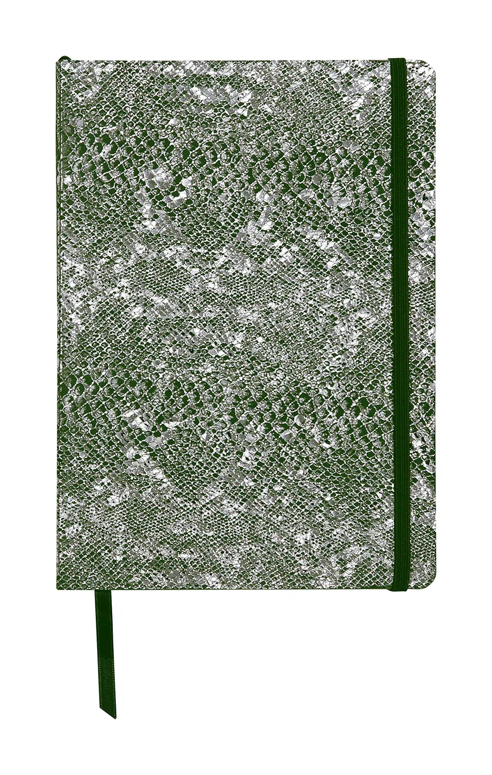 clairefontaine-age-bag-400122c-carnet-cuir-a5-vert-argent-144p image 1