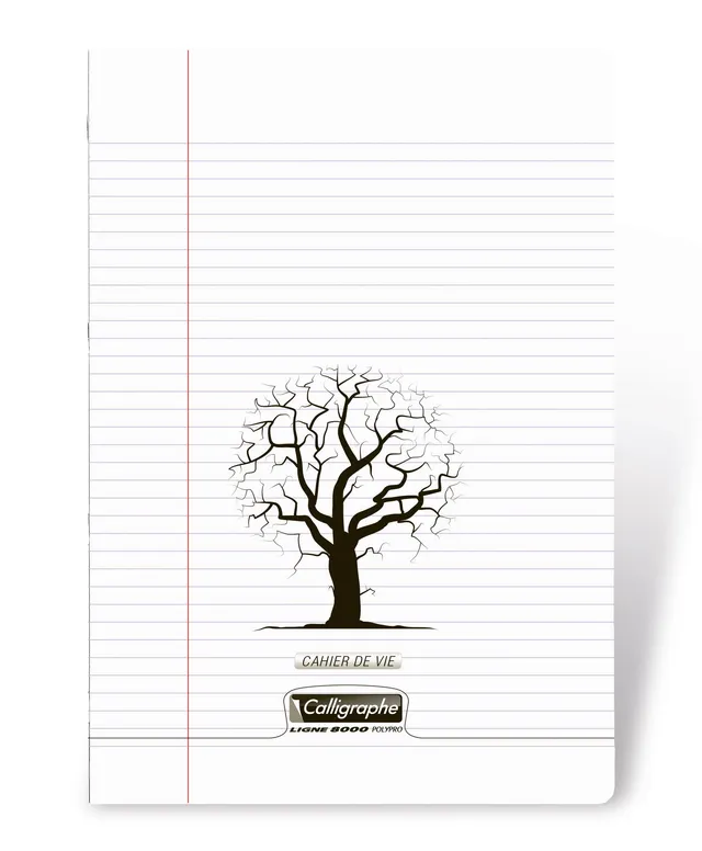 clairefontaine-calligraphe-18183c-cahier-de-vie-24x32-96-pages-90g image 1