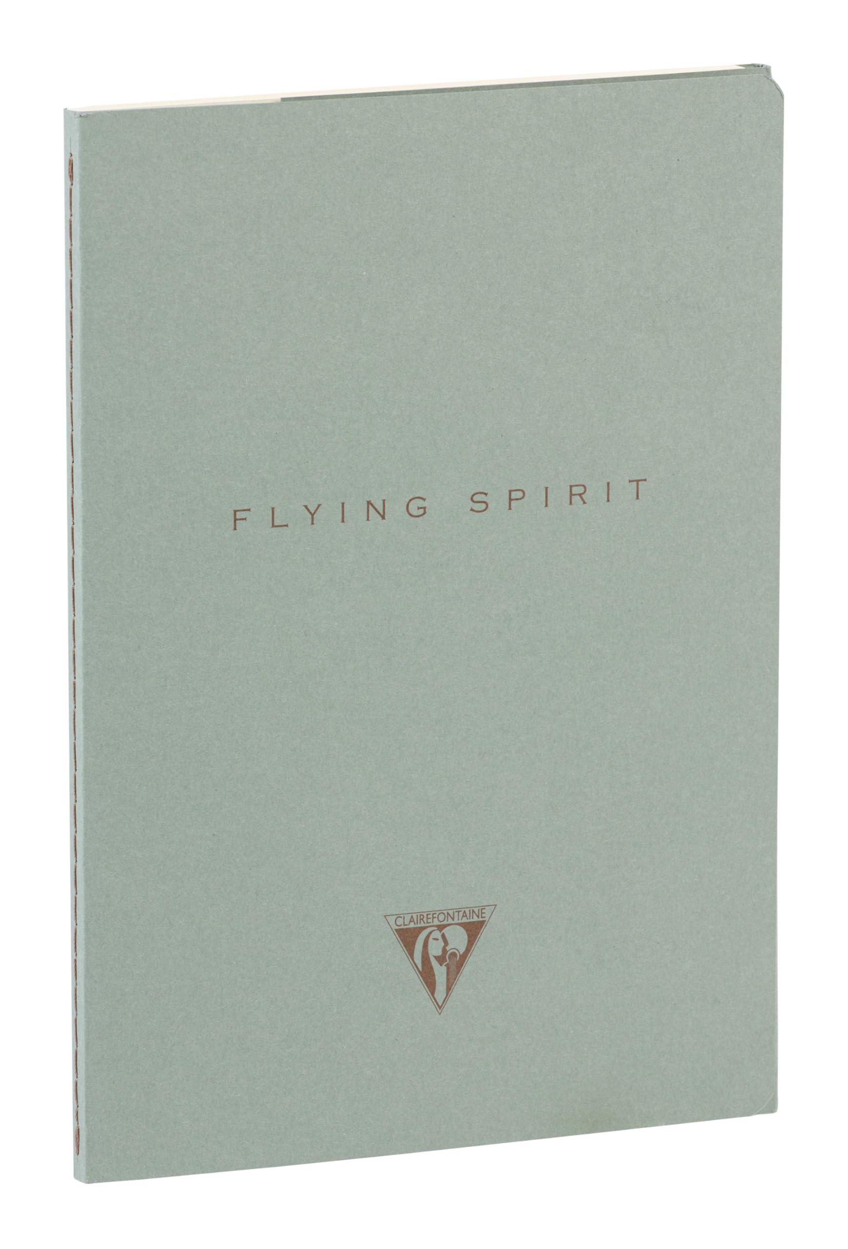 clairefontaine-flying-spirit-104536c-carnet-a5-96p-lign-ivoire image 7