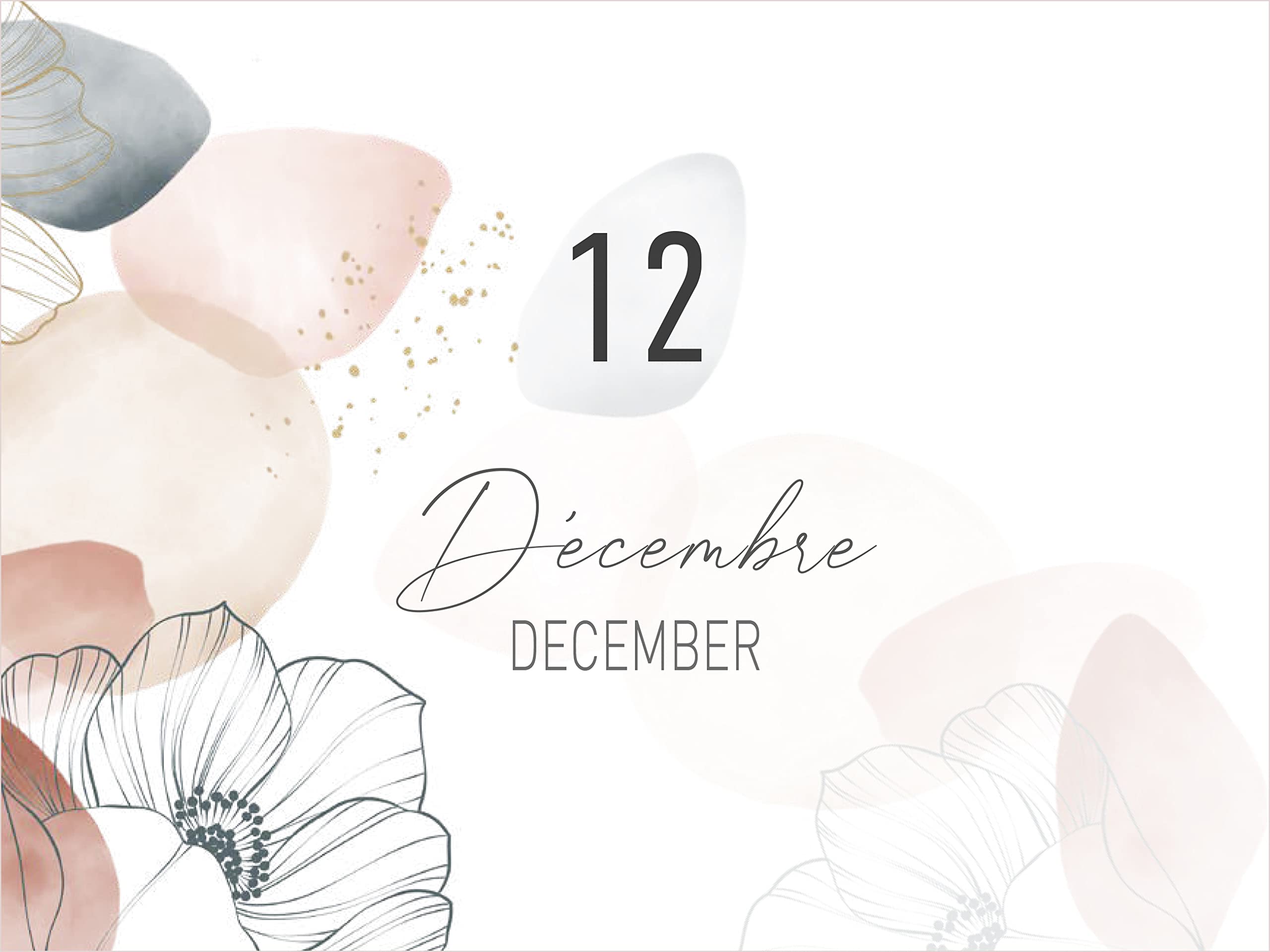 clairefontaine-evanescence-calendrier-anniversaire-23x17-g-om-trique image 6